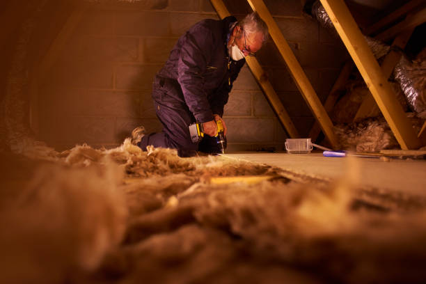 Best Insulation Maintenance and Repair in USA